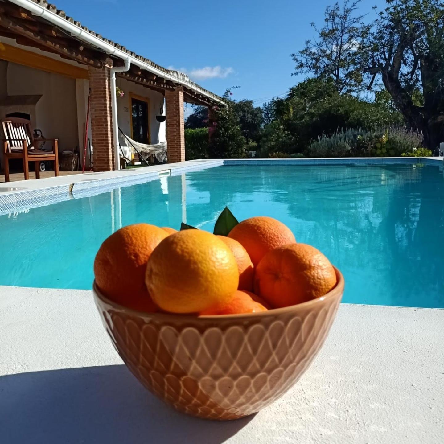 La Quinta Casa Com Piscina Privada Villa Loule Luaran gambar